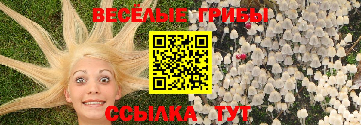 Псилоцибиновые грибы Magic Shrooms Энгельс