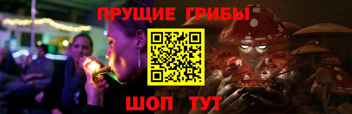 Галлюциногенные грибы прущие грибы  Псилоцибиновые грибы мицелий  Энгельс  купить закладку  Вход с VPN 